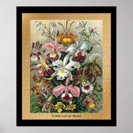 20 x 24 Svart och Guld Poster