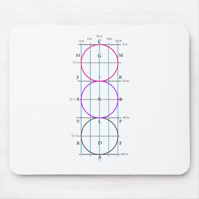 20x60m Dressagedomstol ** cirklar ** Musmatta (Framsidan)