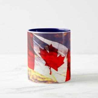 211435558_1ddb32a17c_o Två-Tonad mugg