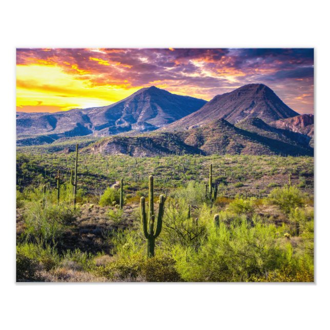 2124-2-Arizona Desert at Sunset with Cactus Fototryck (Framsidan)