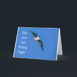 **21:a BIRTHDAY BIRD HUMOR** BIRTHDAY Kort<br><div class="desc">EN BIT HUMOR FÖR HONOM ELLER HENNE PÅ DEN UNDERBARA DAGEN... VÄNTAR "21"!!!!!!!!!!  TACK för att jag stannar vid 1 av mina 8 butiker!! Det här är Myrtle Beach förresten!</div>