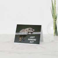 *21:a* BIRTHDAY FRÅN ETT FÅNIG RACCOON