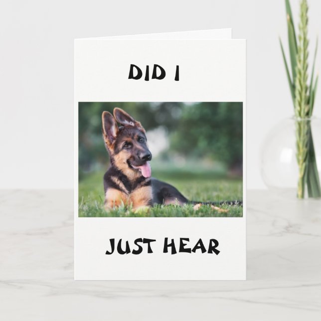 *21:a BIRTHDAY*-HUND HÖRDE ALLT OM DEN Kort (Framsida)