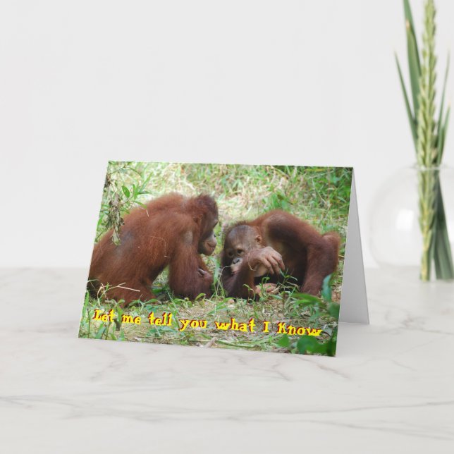 21:a födelsedag nr Fake ID Kort (Framsida)