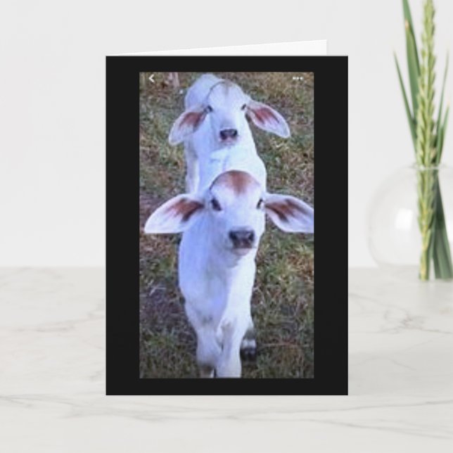 "21 ÄR NÅGOT ATT BLÅ OM" KORT (Framsida)