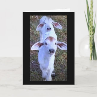 "21 ÄR NÅGOT ATT BLÅ OM" KORT