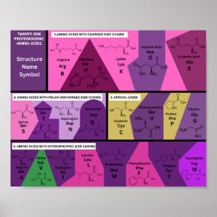 21 proteinogena aminosyror i biologistrukturen poster