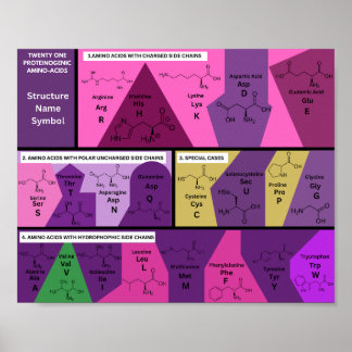 21 proteinogena aminosyror i biologistrukturen poster