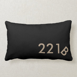 221 B. Bagare Gata kudder Lumbarkudde