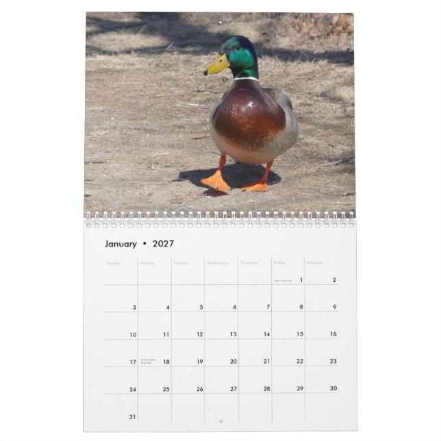 22 mars till 23 februari i naturkalender kalender (Jan 2027)