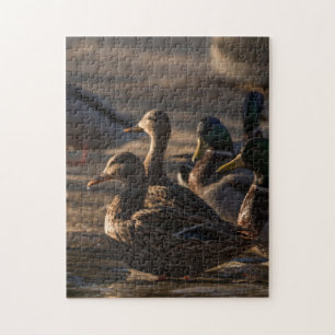 2318-Female Mallard Ankor i Pond Puzzle Pussel