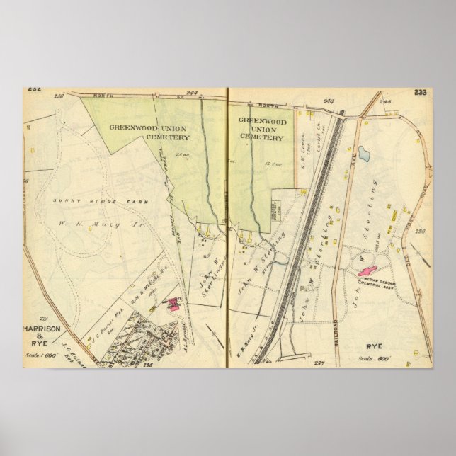 232233 Harrison, Rye Poster (Framsidan)