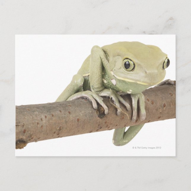 23568119 VYKORT (Framsida)