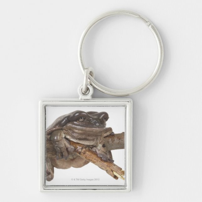 23568138 FYRKANTIG SILVERFÄRGAD NYCKELRING (Framsidan)