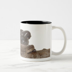 23568138 Två-Tonad MUGG