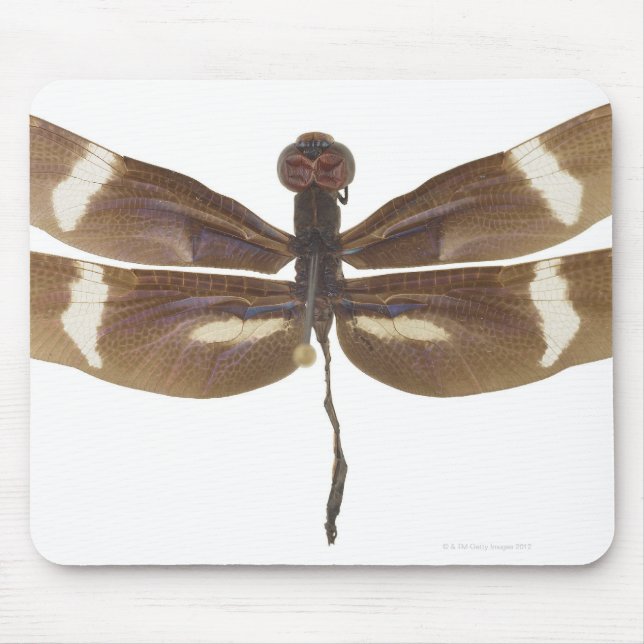 23599152 MUSMATTA (Framsidan)