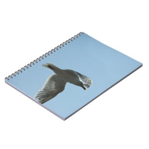 2367 ANTECKNINGSBOK