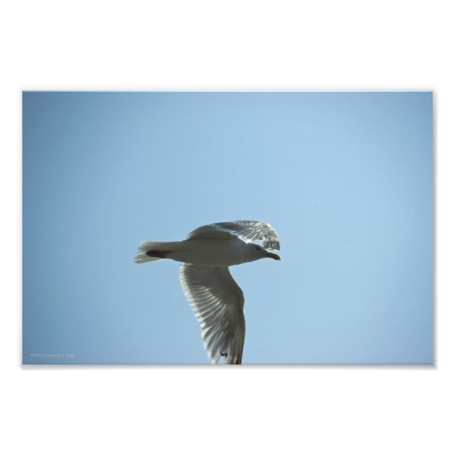 2367 FOTOTRYCK (Framsidan)