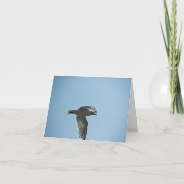 2367 KORT (Framsida)