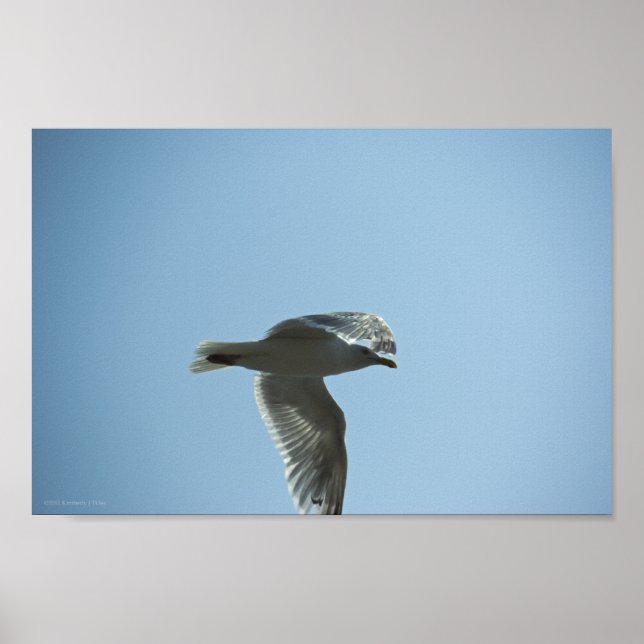 2367 POSTER (Framsidan)