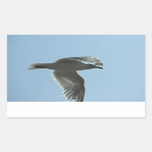 2367 REKTANGULÄRT KLISTERMÄRKE