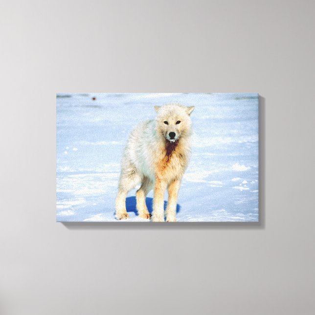 23872553 CANVASTRYCK (Framsida)