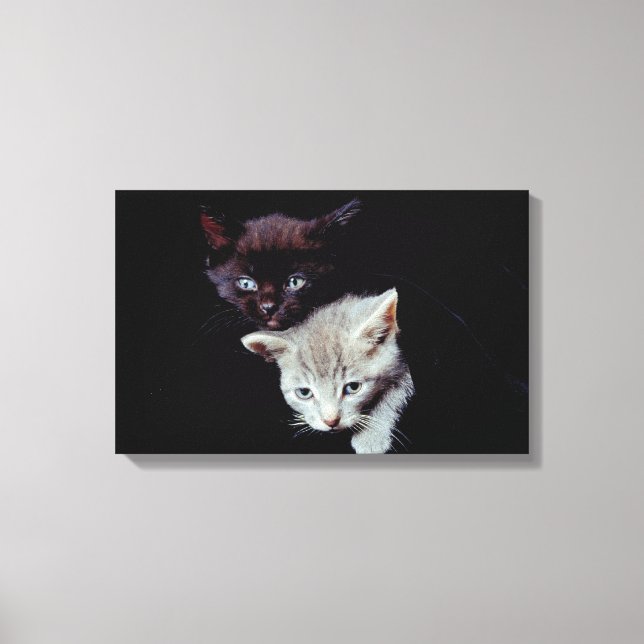 23893007 CANVASTRYCK (Framsida)