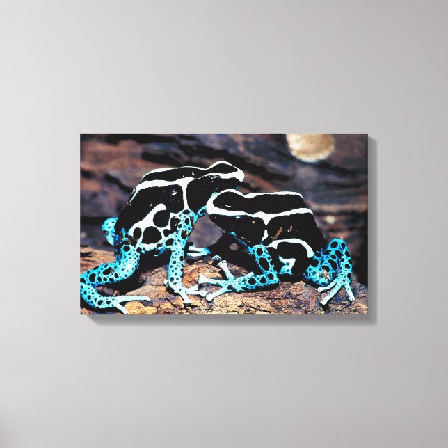 23898179 CANVASTRYCK (Framsida)