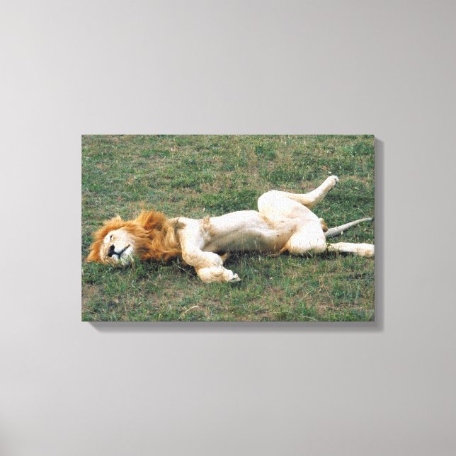 23899172 CANVASTRYCK (Framsida)