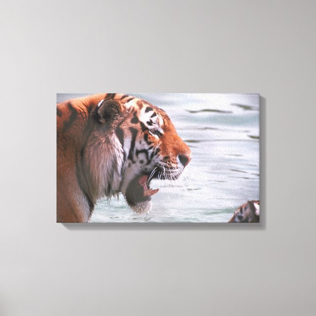 23899262 CANVASTRYCK (Framsida)