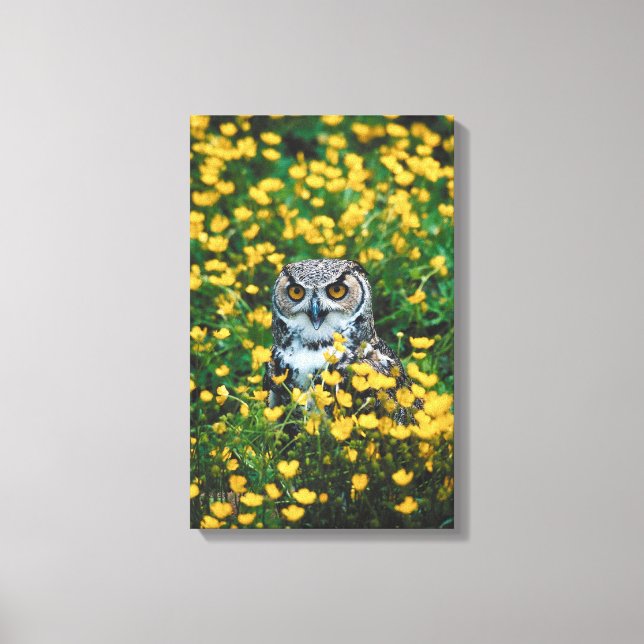 23901671 CANVASTRYCK (Framsida)