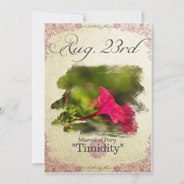 23:e "Perus marvel" Kort (Framsida)