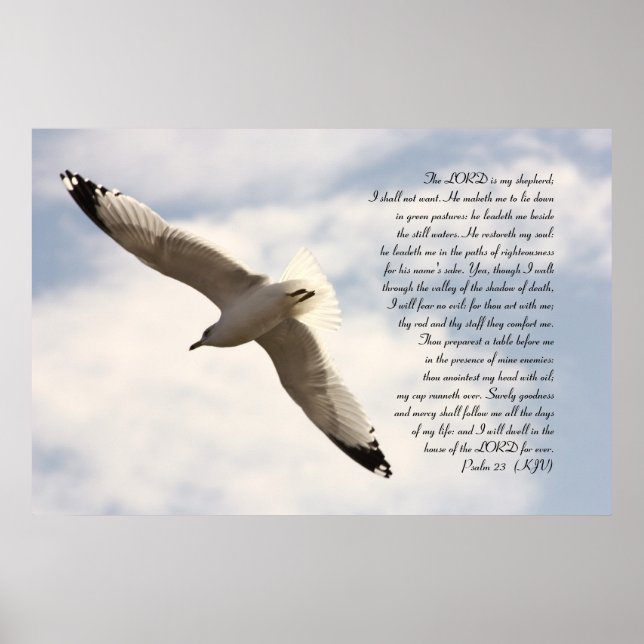 23:e psalm bibliska verse med Soaring Sea Gull Poster (Framsidan)