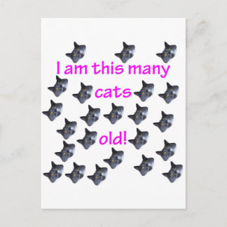 23 Katthuvuden Vykort