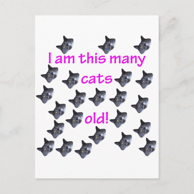 23 Katthuvuden Vykort (Framsida)