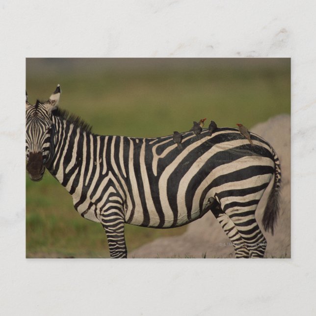 24109277 VYKORT (Framsida)