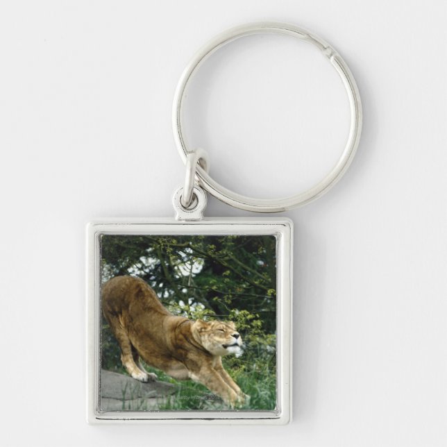 24114343 FYRKANTIG SILVERFÄRGAD NYCKELRING (Framsidan)