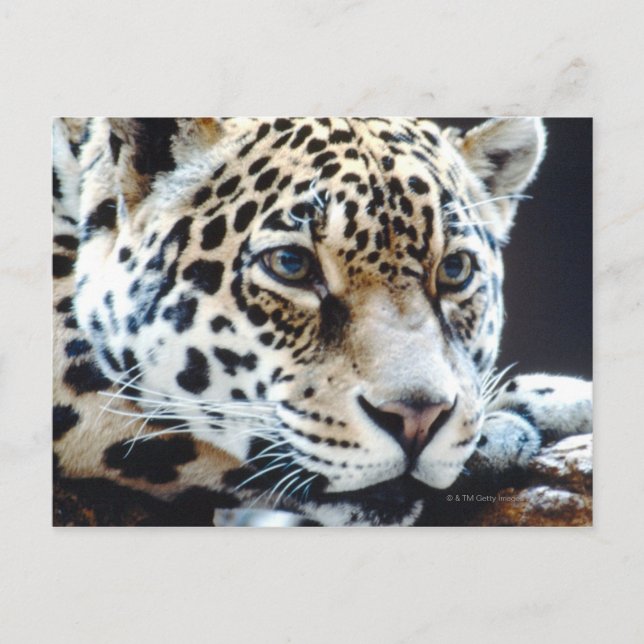 24114363 VYKORT (Framsida)