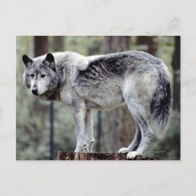 24114488 VYKORT (Framsida)