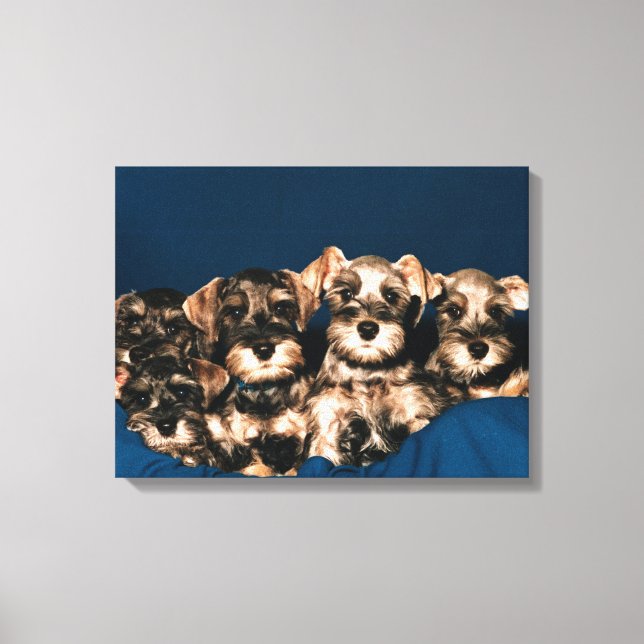 24117057 CANVASTRYCK (Framsida)