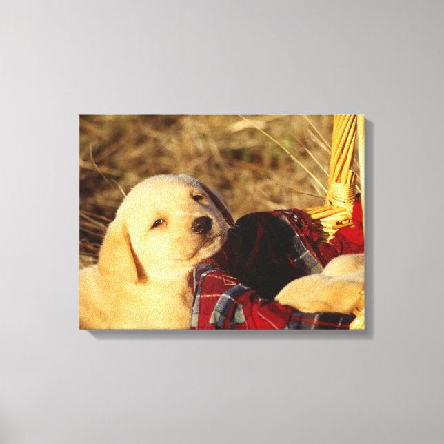 24117967 CANVASTRYCK (Framsida)