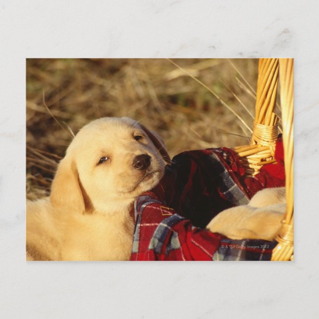 24117967 VYKORT (Framsida)