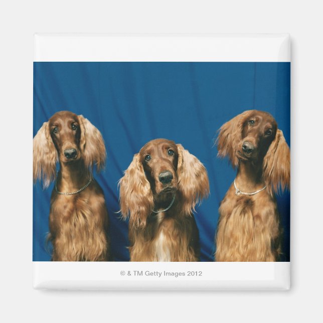 24119671 MAGNET (Framsidan)