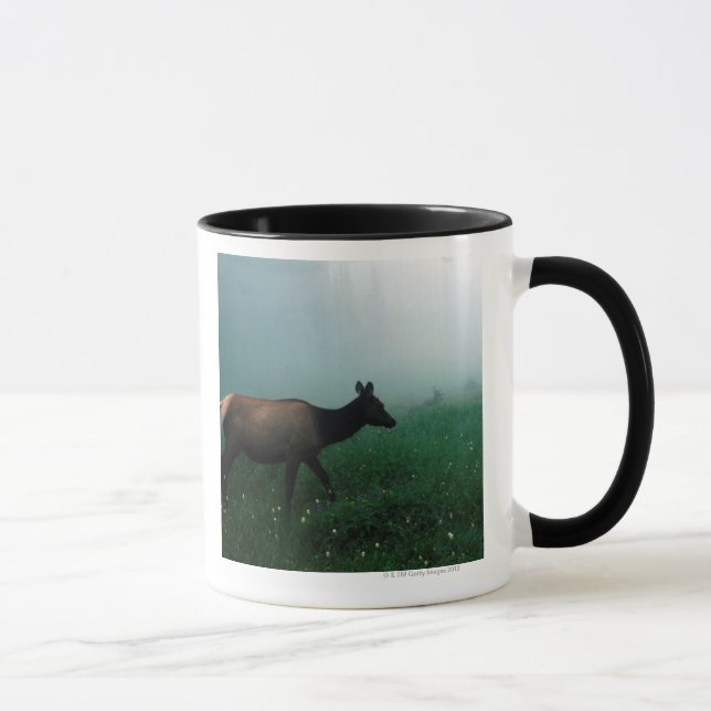 24121885 MUGG (Höger)