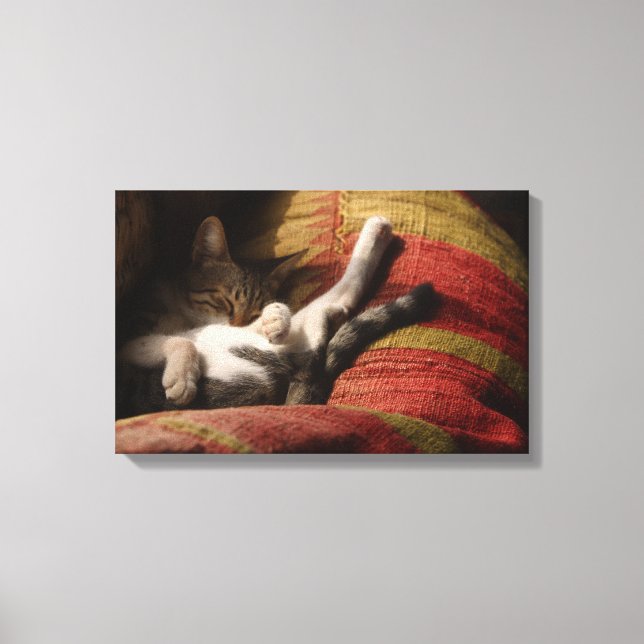 24140641 CANVASTRYCK (Framsida)