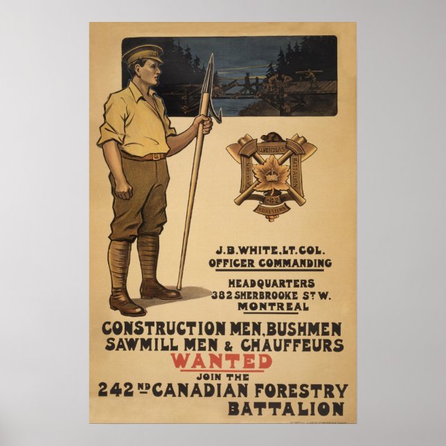 242:a kanadensiska skogsbalken 1915 poster (Framsidan)
