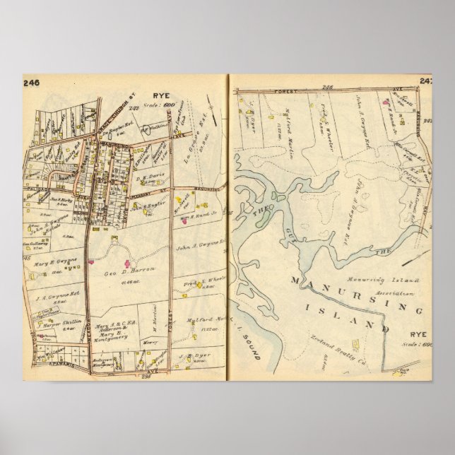 246247 Råg Poster (Framsidan)