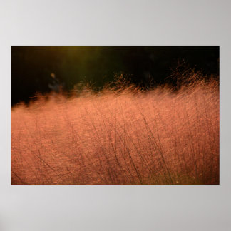 24×16 Rosa Muhly Jeju-do Sydkorea Fotoavtryck Poster