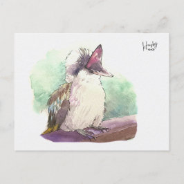 24: Kookaburra Vykort
