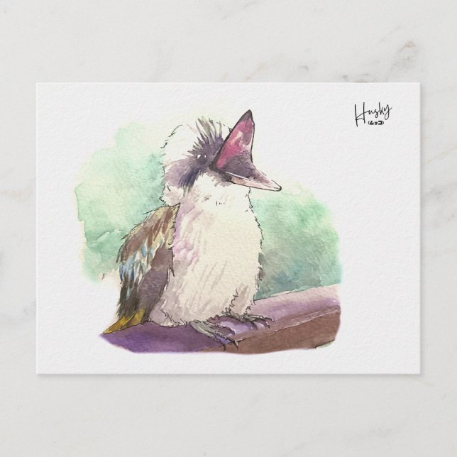 24: Kookaburra Vykort (Framsida)